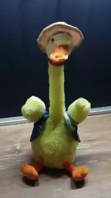 vesela patka