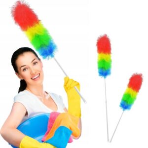 praško za prašinu s teleskopskom drškom za čišćenje visina